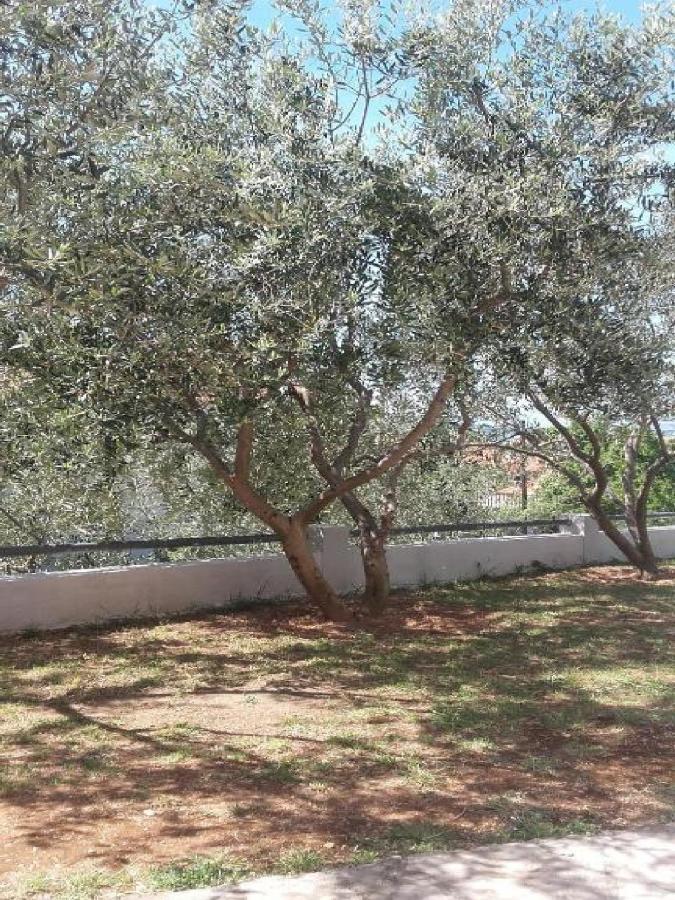 גורני קרין Apartments Smilje I Maslina מראה חיצוני תמונה