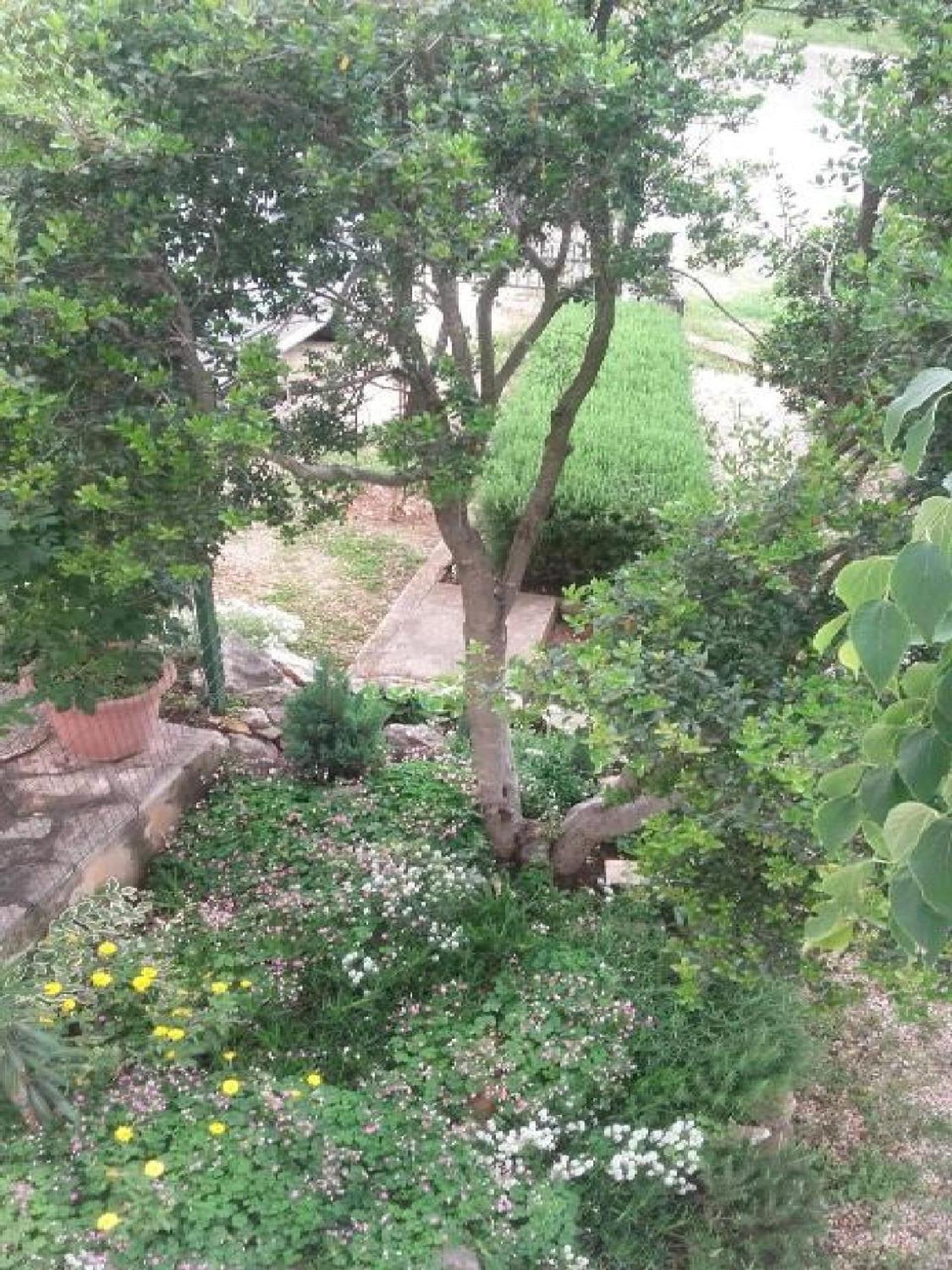 גורני קרין Apartments Smilje I Maslina חדר תמונה